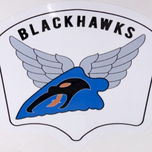 US Army Blackhawks Squadron Sticker